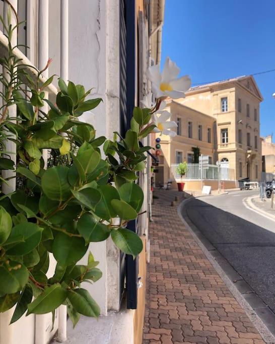 Studios Du Marin Sur Port De לה קיוטאט מראה חיצוני תמונה